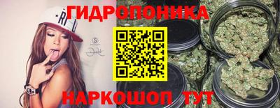 гашик Ставрополь