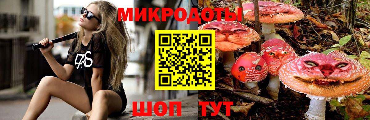 Псилоцибиновые грибы GOLDEN TEACHER  Галлюциногенные грибы GOLDEN TEACHER  Вход с VPN  Сердобск 